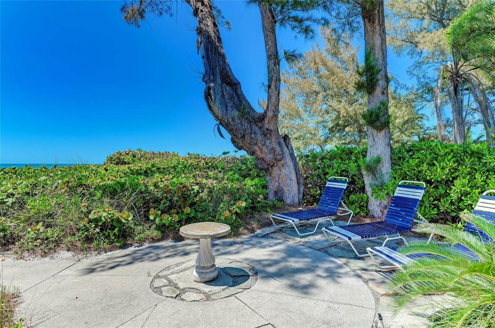 SEAGRAPE INN - Residential