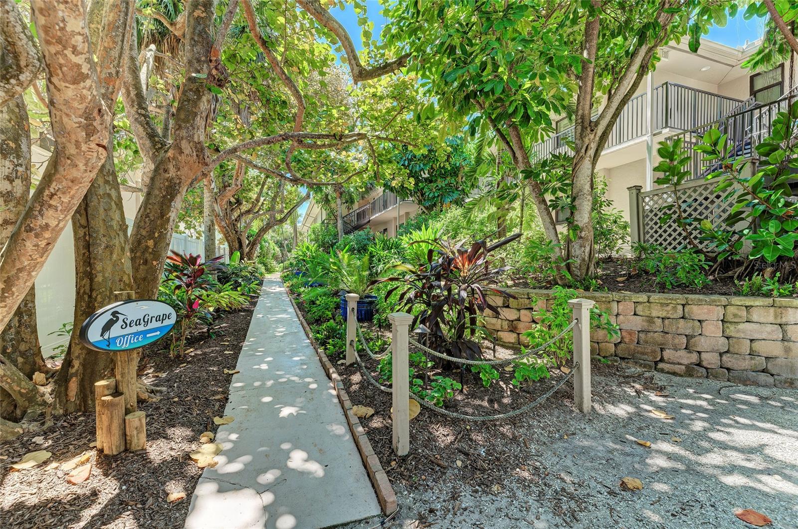 SEAGRAPE INN - Residential