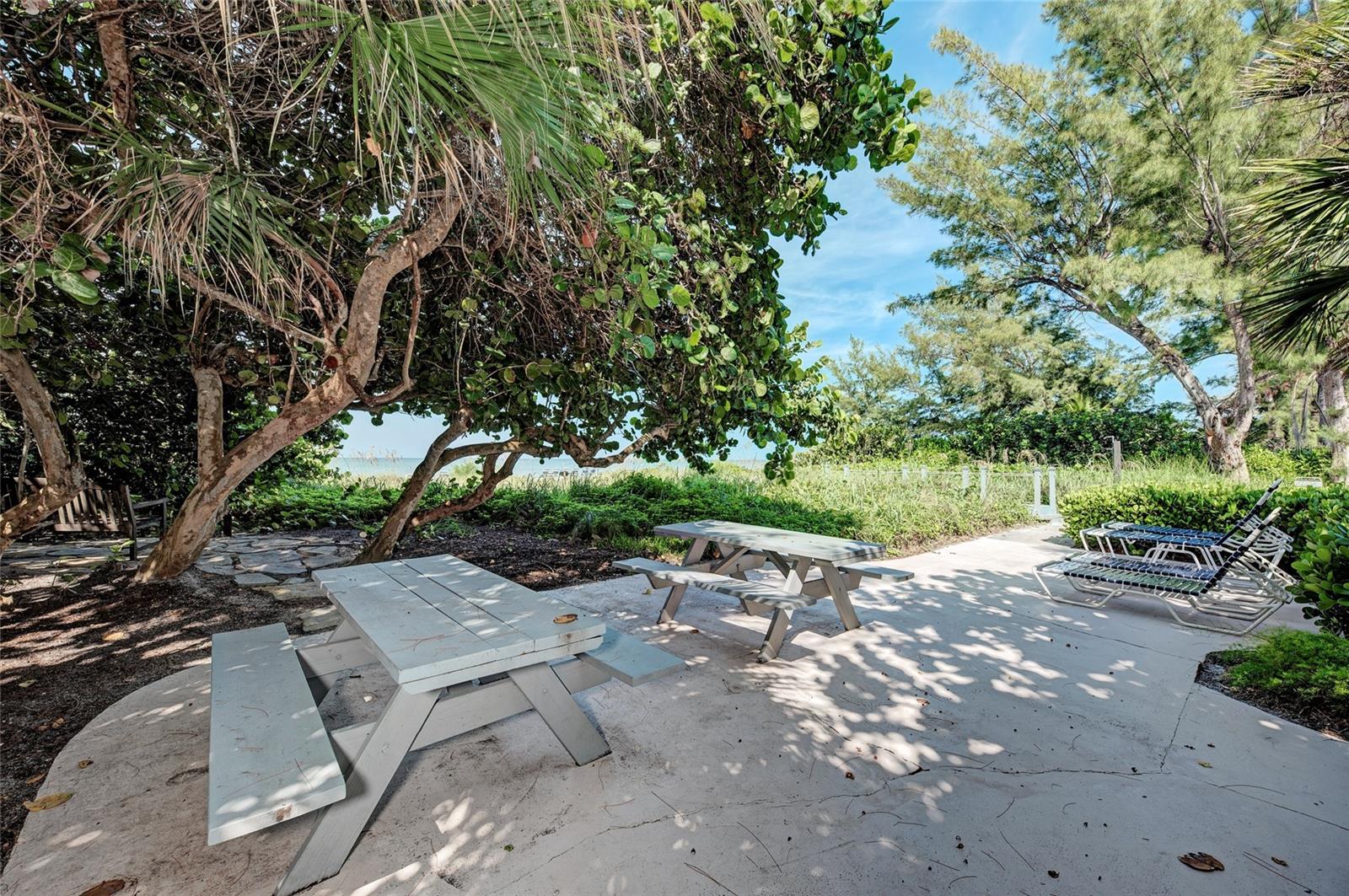 SEAGRAPE INN - Residential