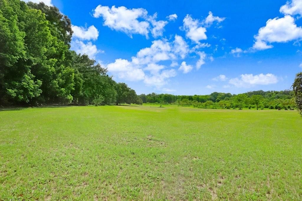 Photo of 37352 Trilby Road, Dade City, FL 33523 (MLS # TB8486530)