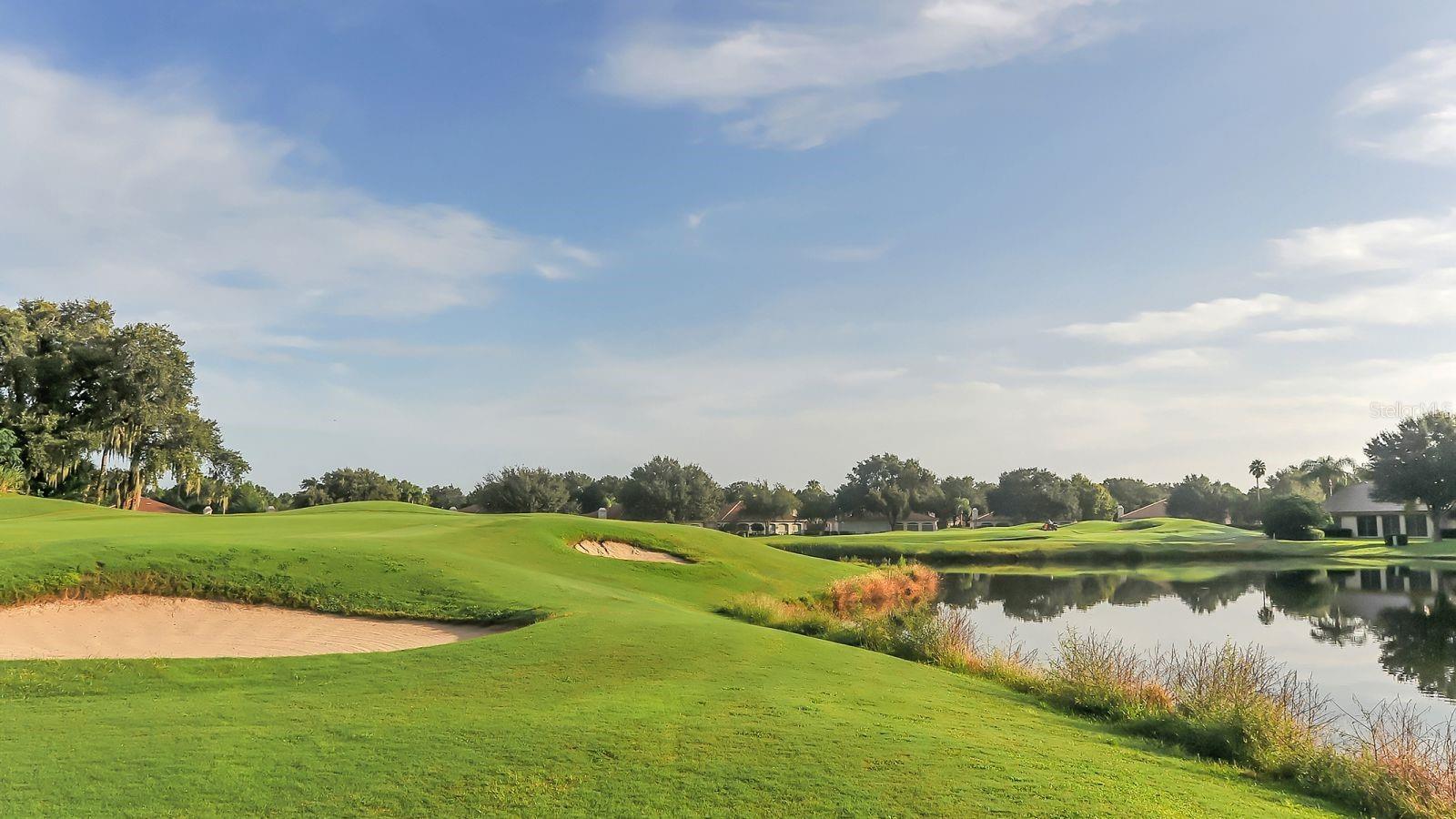 WOOD RIDGE AT THE MEADOWS - Residential