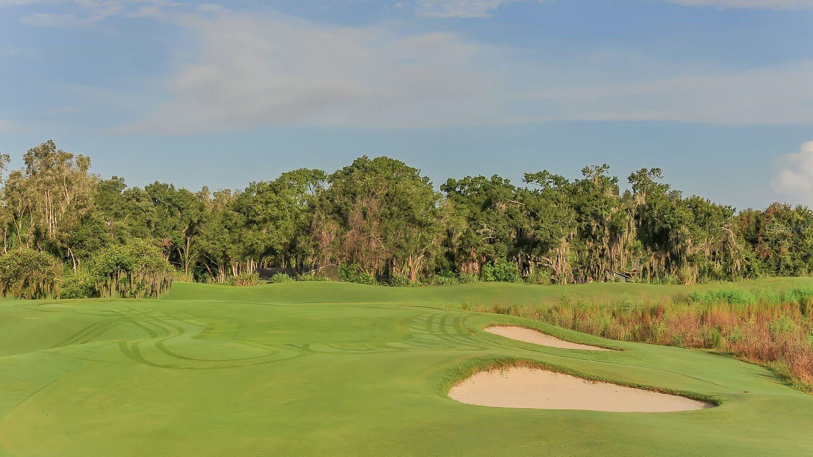 WOOD RIDGE AT THE MEADOWS - Residential