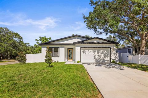 331 ARCHIMEDES STREET DUNEDIN FL 34698