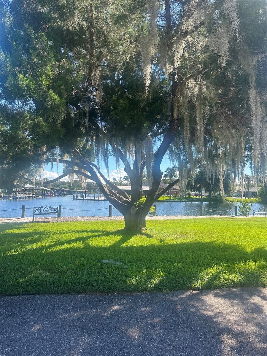 JUNGLE DEN VILLAS PH 05 CONDO - Residential