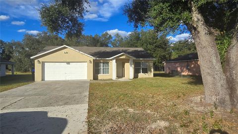 Photo of 7325 Holly Street, Mount Dora, FL 32757 (MLS # O6369127)