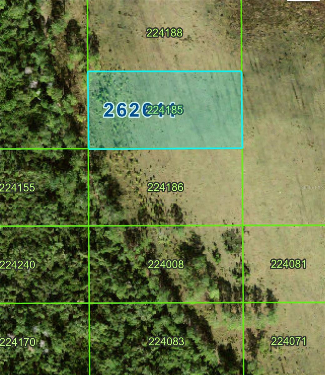 Vacant Lot is landlocked. Need to do your own due diligence and contact county for easement options to access property. Lot is locked in a growing area. Great for investment.