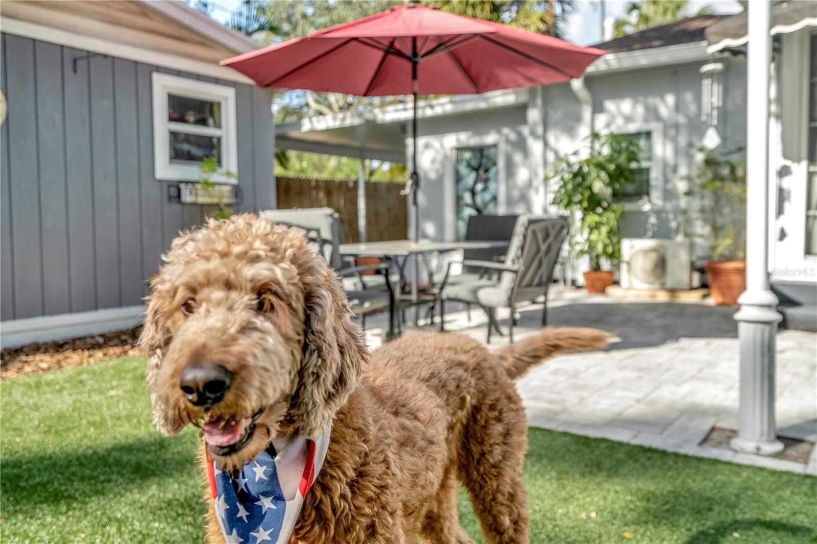 BARR CITY - Residential Lease