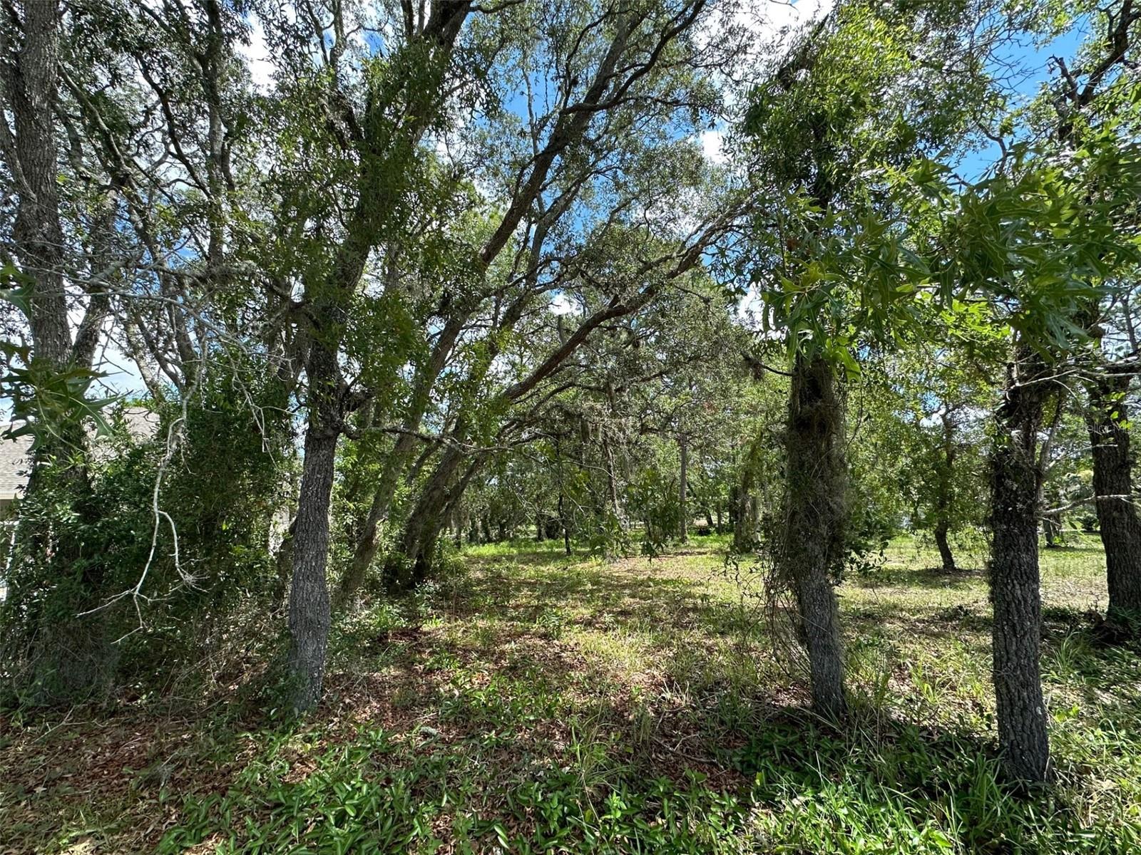 SOUTHERN WOODS AT SUGARMILL WOODS - Land