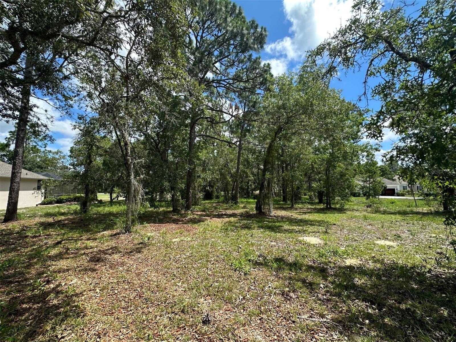 SOUTHERN WOODS AT SUGARMILL WOODS - Land