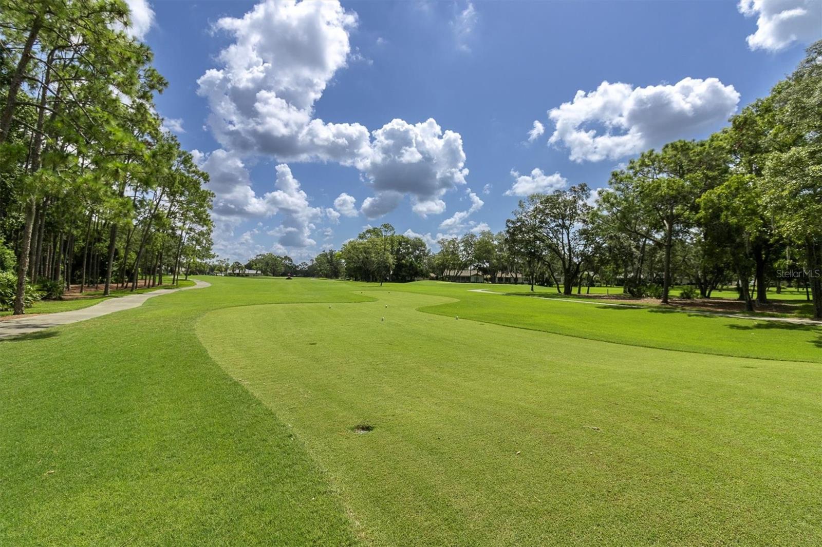 TIMBER PINES TR 8 UN 2A-3 - Residential