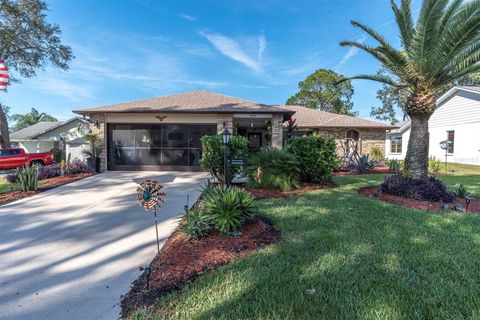 Photo of 7099 Pond View Court, Spring Hill, FL 34606 (MLS # W7881187)