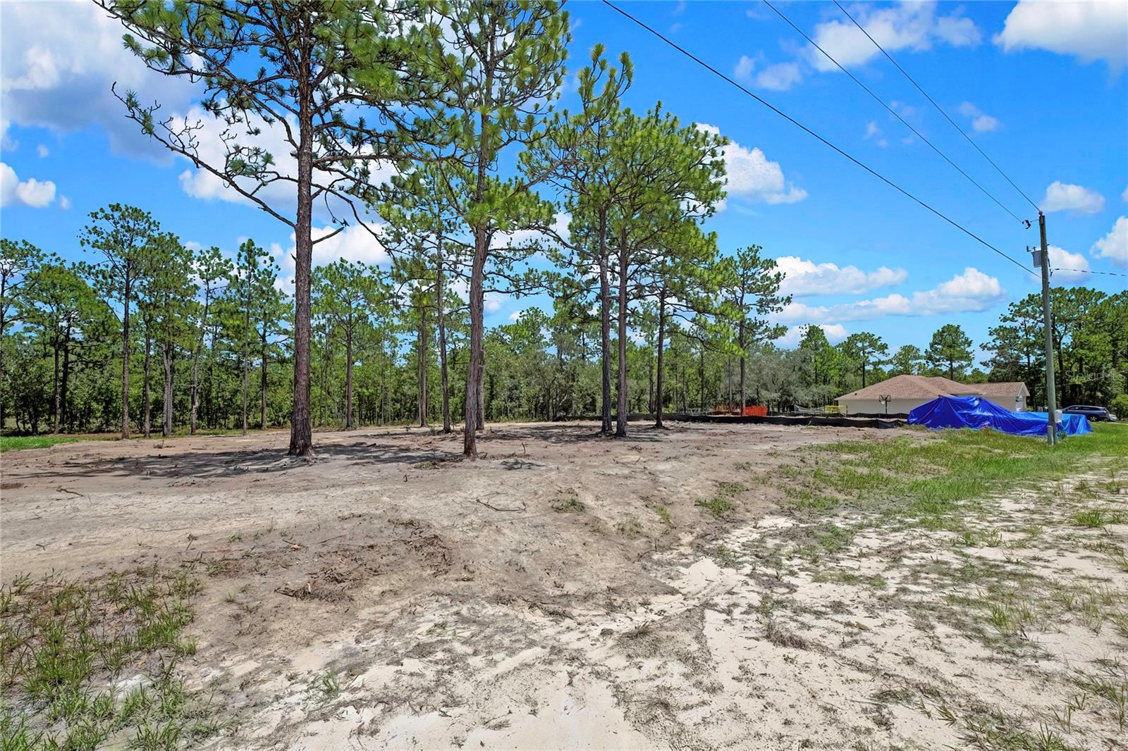 16116 MEDRICK ROAD