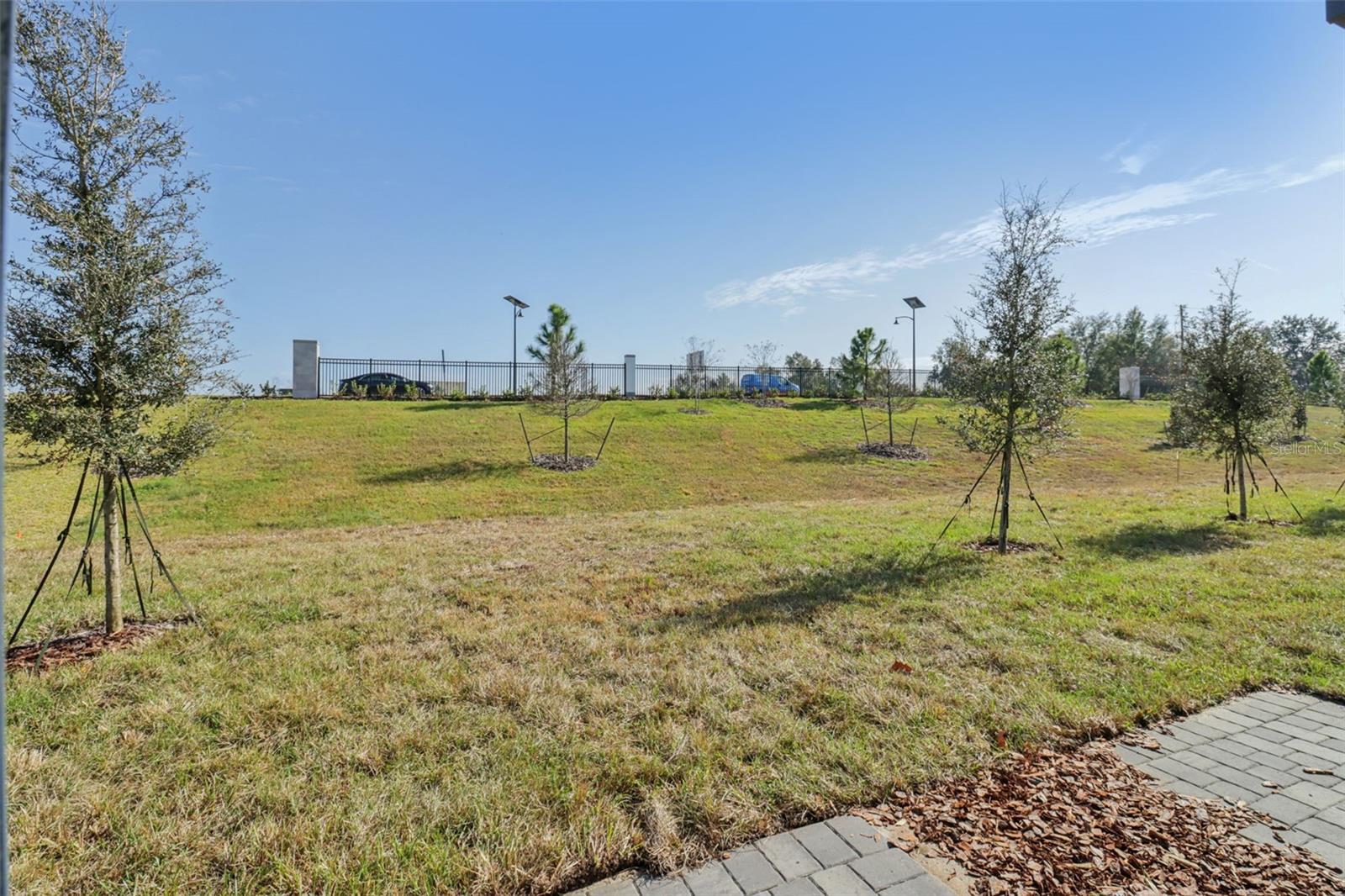 THE RESERVE AT HAMMOCK OAKS - Residential