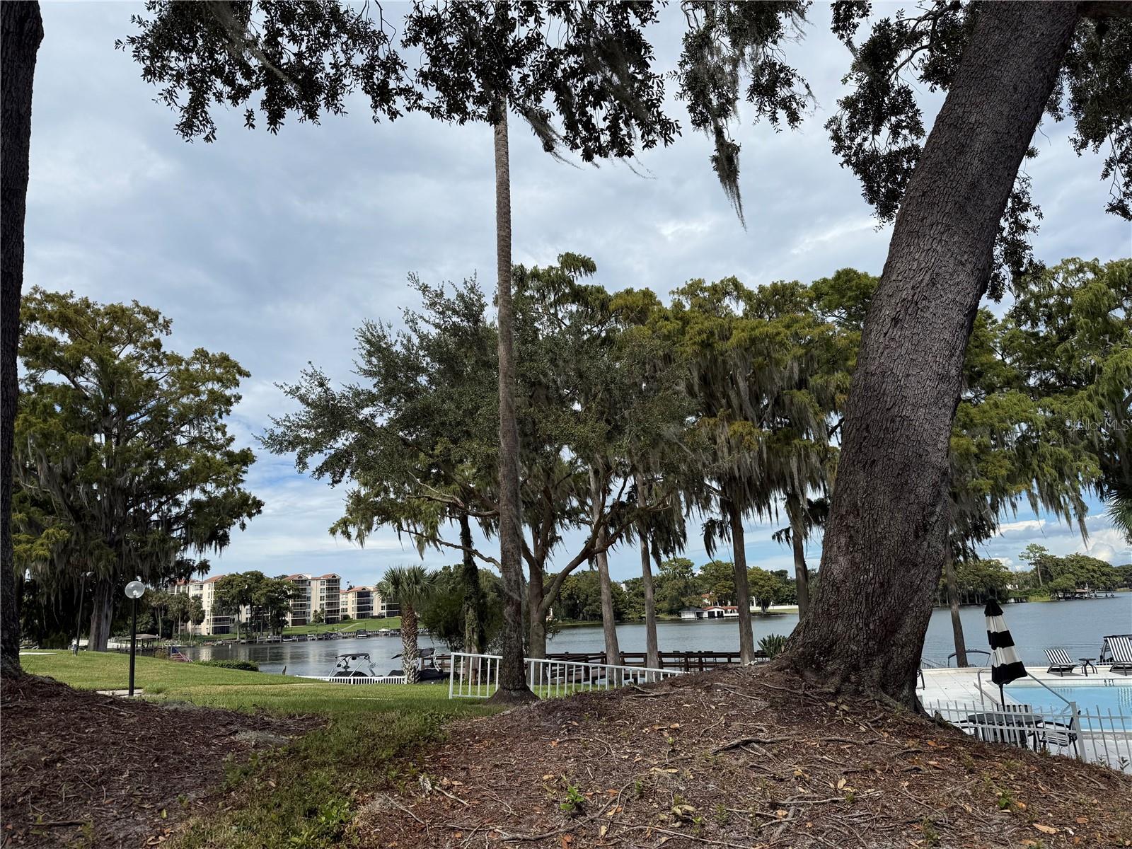 LAKE MAITLAND TERRACE APTS - Residential