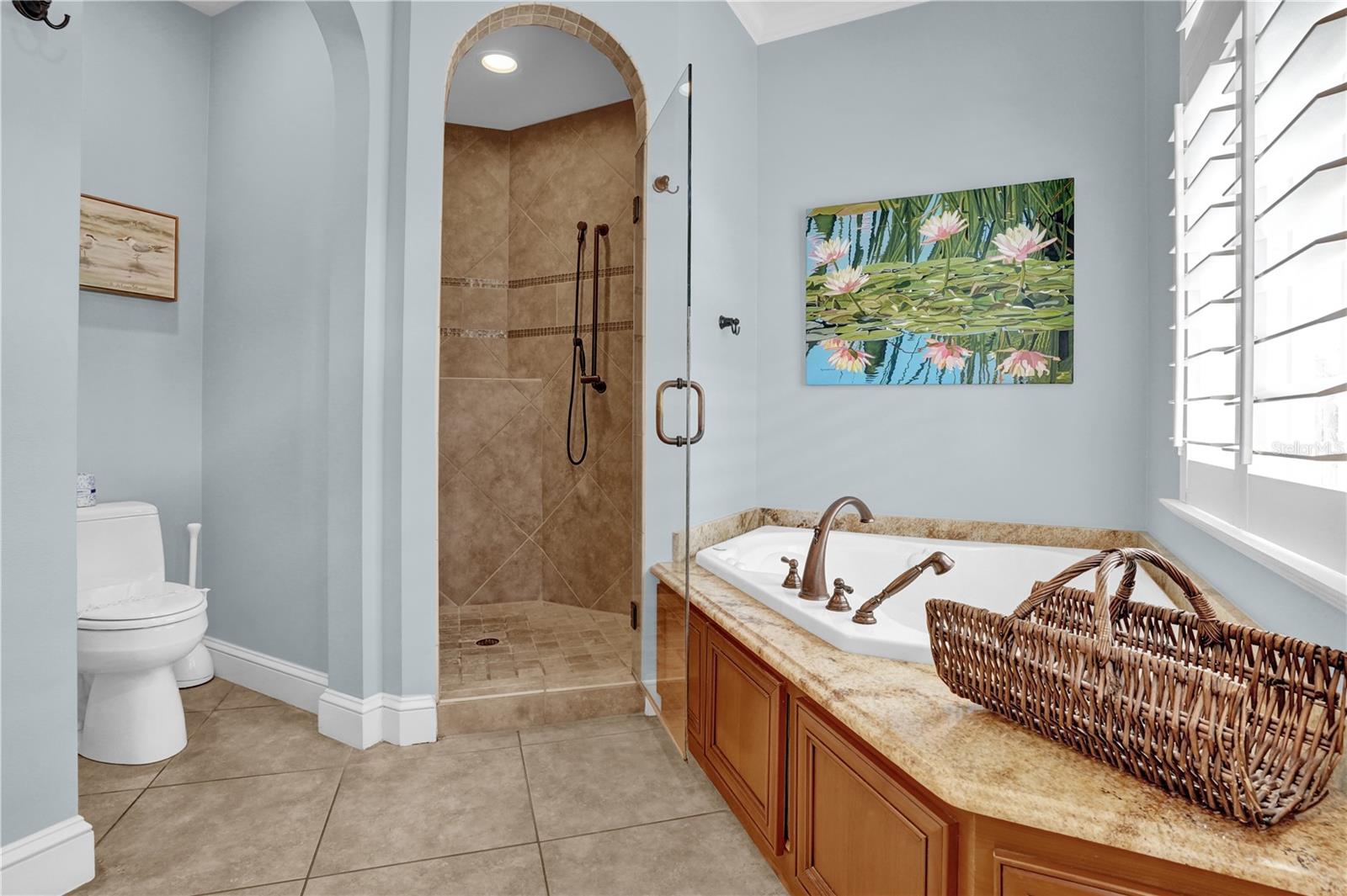 VISTA GRANDE - Residential