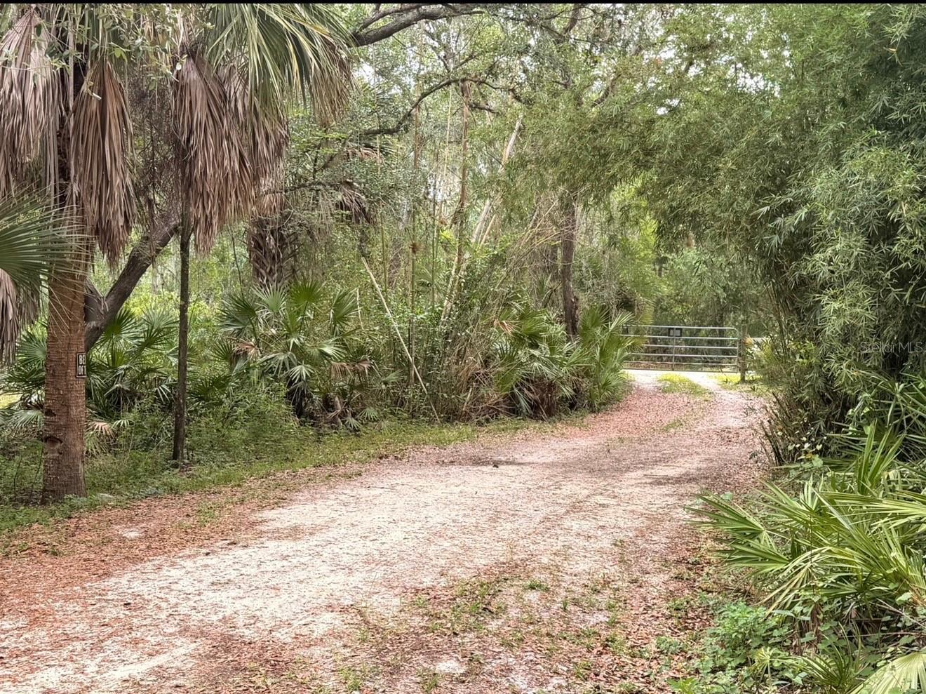 2963 SW ARMADILLO TRL