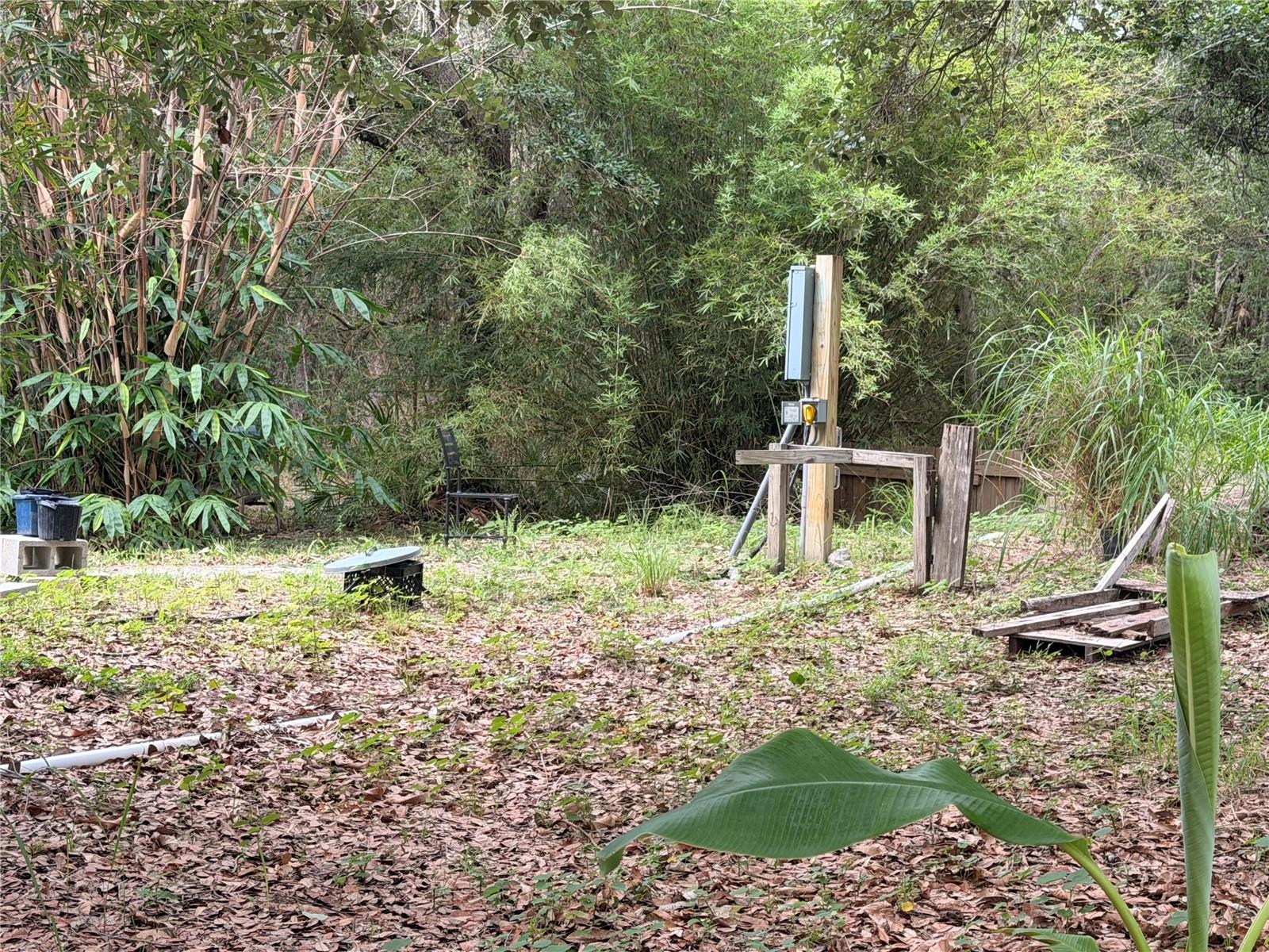 2963 SW ARMADILLO TRL