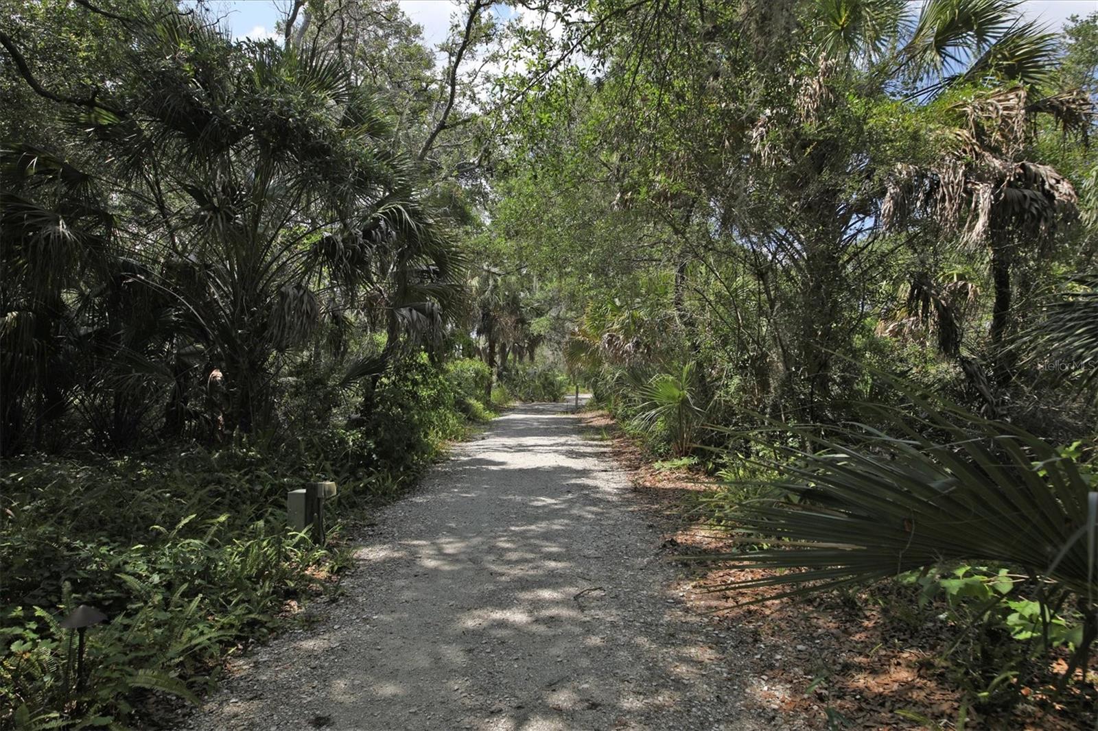 HARBORAGE ON BRADEN RIVER IV PH I - Residential