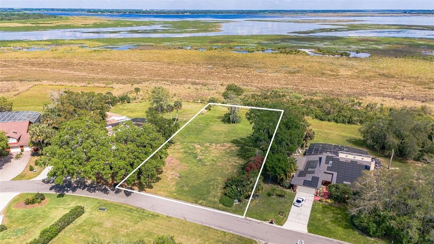 LAKEFRONT LOT in GATED NEIGHBORHOOD of HIDDEN HARBOR * 0.52 ACRES * PICK YOUR OWN BUILDER * BUILD ON YOUR TIMELINE * TENNIS COURTS, GAZEBO, BASEBALL DIAMOND and a FISHING PIER OVERLOOKING the NEIGHBORHOOD POND. Last available buildable LAKEFRONT lot in the EXCLUSIVE, GATED Hidden Harbor community, nestled on the stunning shores of Lake Toho, part of the renowned Chain of Lakes. This 0.52-acre cleared lot is ready for your dream home, offering sunrise views, lush oak trees, and a serene, private setting with no building time restrictions—pick your own builder! Enjoy resort-style amenities including tennis courts, a pond, fishing pier, and secrity gate, all within an established, low-HOA neighborhood. Ideal for both investment or personal use, this prime location is just minutes from NEO CITY AND NEO CITY ACADEMY, DOWNTOWN KISSIMMEE, popular travel destinations, shopping, restaurants & much more. With access to top bass fishing lakes and the ability to boat to the coast, this is an opportunity you won’t want to miss!