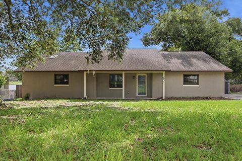 Photo of 43 Lake Jackson Drive, Mascotte, FL 34753 (MLS # G5112949)