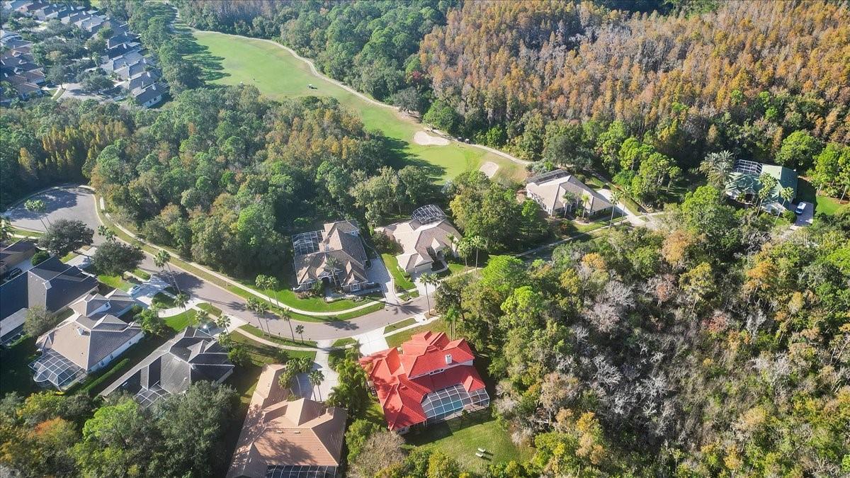 WESTCHASE - HARBOR LINKS - Residential