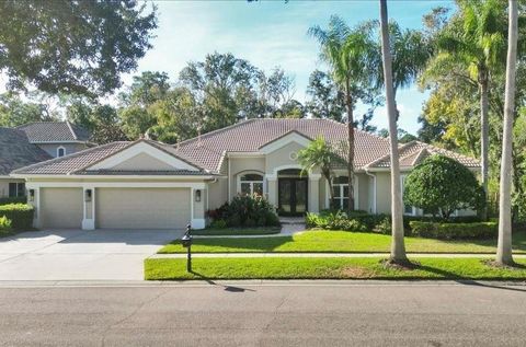 9814 EMERALD LINKS DRIVE TAMPA FL 33626