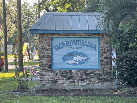 Tiny photo for 4025 S Missouri Street, Homosassa, FL 34448 (MLS # TB8514296)
