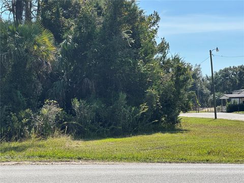 Tiny photo for 4025 S Missouri Street, Homosassa, FL 34448 (MLS # TB8514296)
