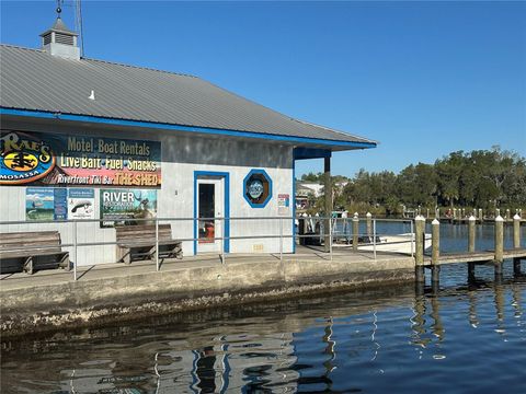 Tiny photo for 4025 S Missouri Street, Homosassa, FL 34448 (MLS # TB8514296)