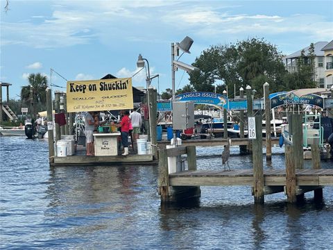 Tiny photo for 4025 S Missouri Street, Homosassa, FL 34448 (MLS # TB8514296)