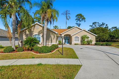 Photo of 9233 Irondale Lane, Hudson, FL 34667 (MLS # TB8459666)