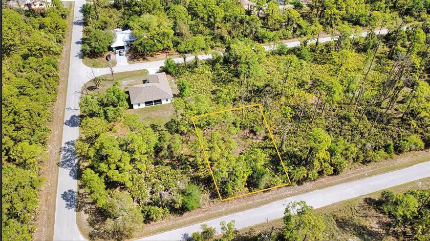 80’x125’ located in a still-developing area with several waterfront homes just down the street on MvCabe. It could be your own peace of perfect place with easy access to amenities in Port Charlotte and North and North Port. No HOA and Deen restrictions. New homes constructions inviting the West Port and Biscayne Landing communities and Comercial Developing planned for SR776. It is the best site to consider as your new perfect Florida home or as a best investment.