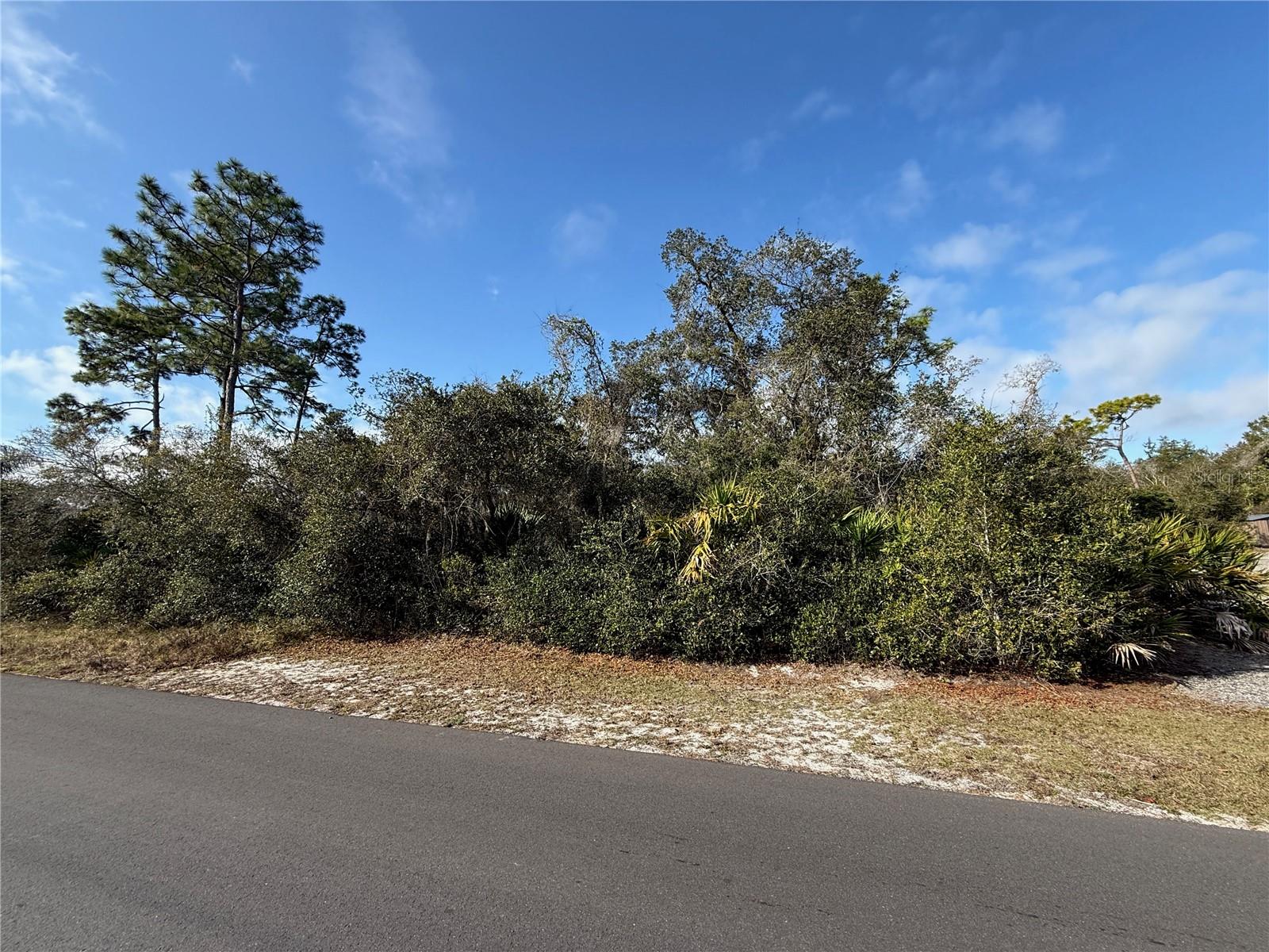 DAYTONA PARK ESTATES SEC C - Land