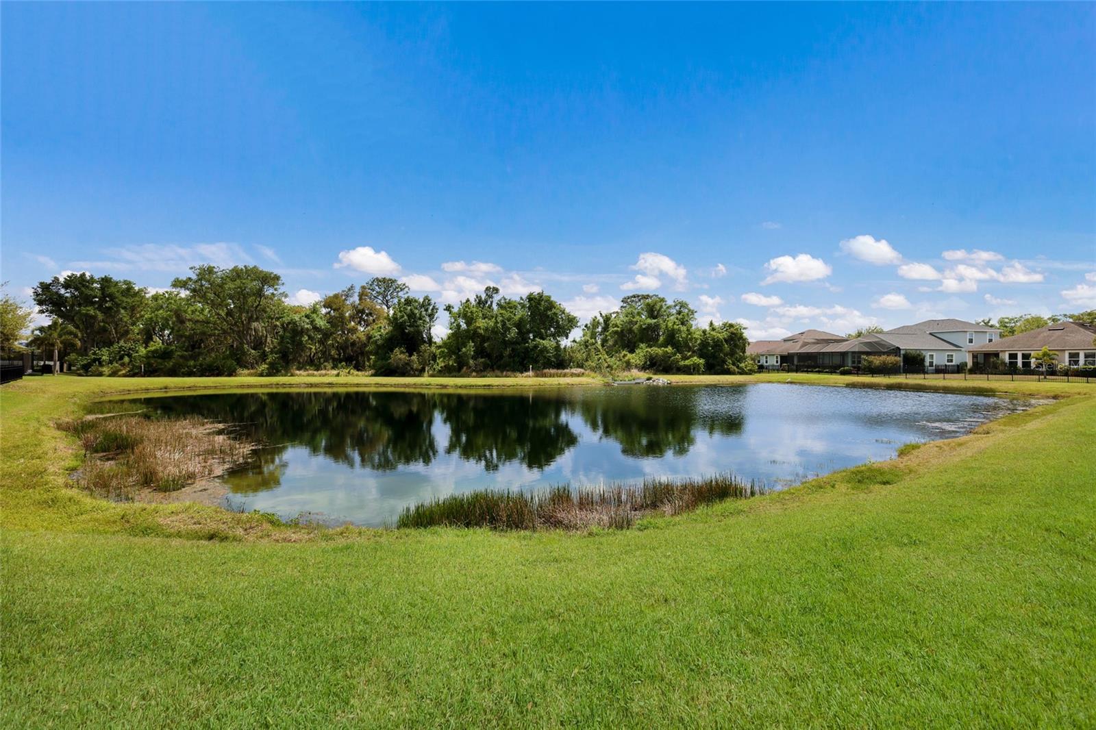 HARMONY AT LAKEWOOD RANCH PH II A & B - Residential