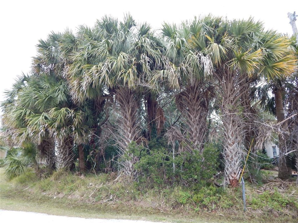 Photo of 8 Collingville Court, Palm Coast, FL 32137 (MLS # FC314476)