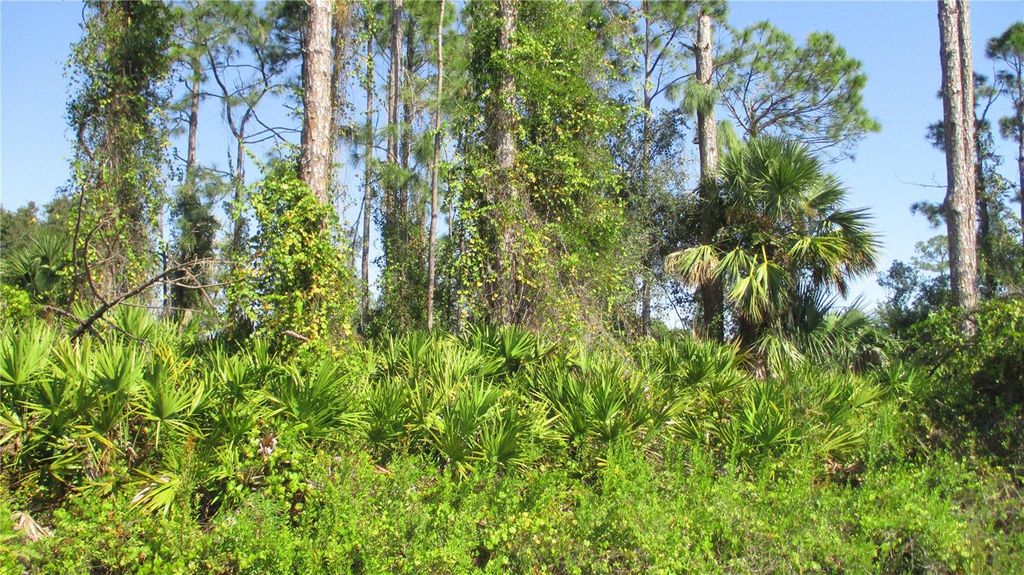 Photo of Ginsburg Terrace, North Port, FL 34287 (MLS # N6129326)