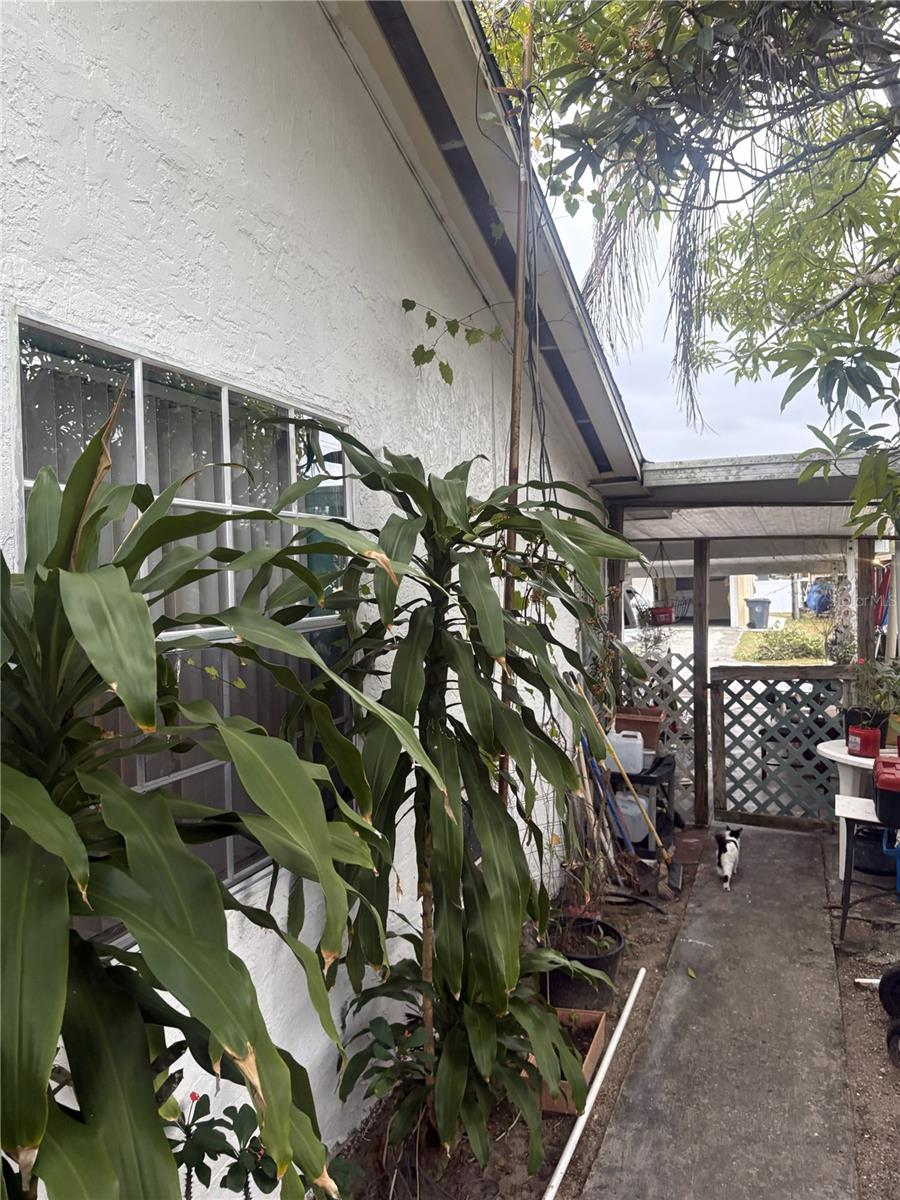 TULANE SUB - Residential