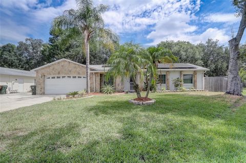 A home in KISSIMMEE