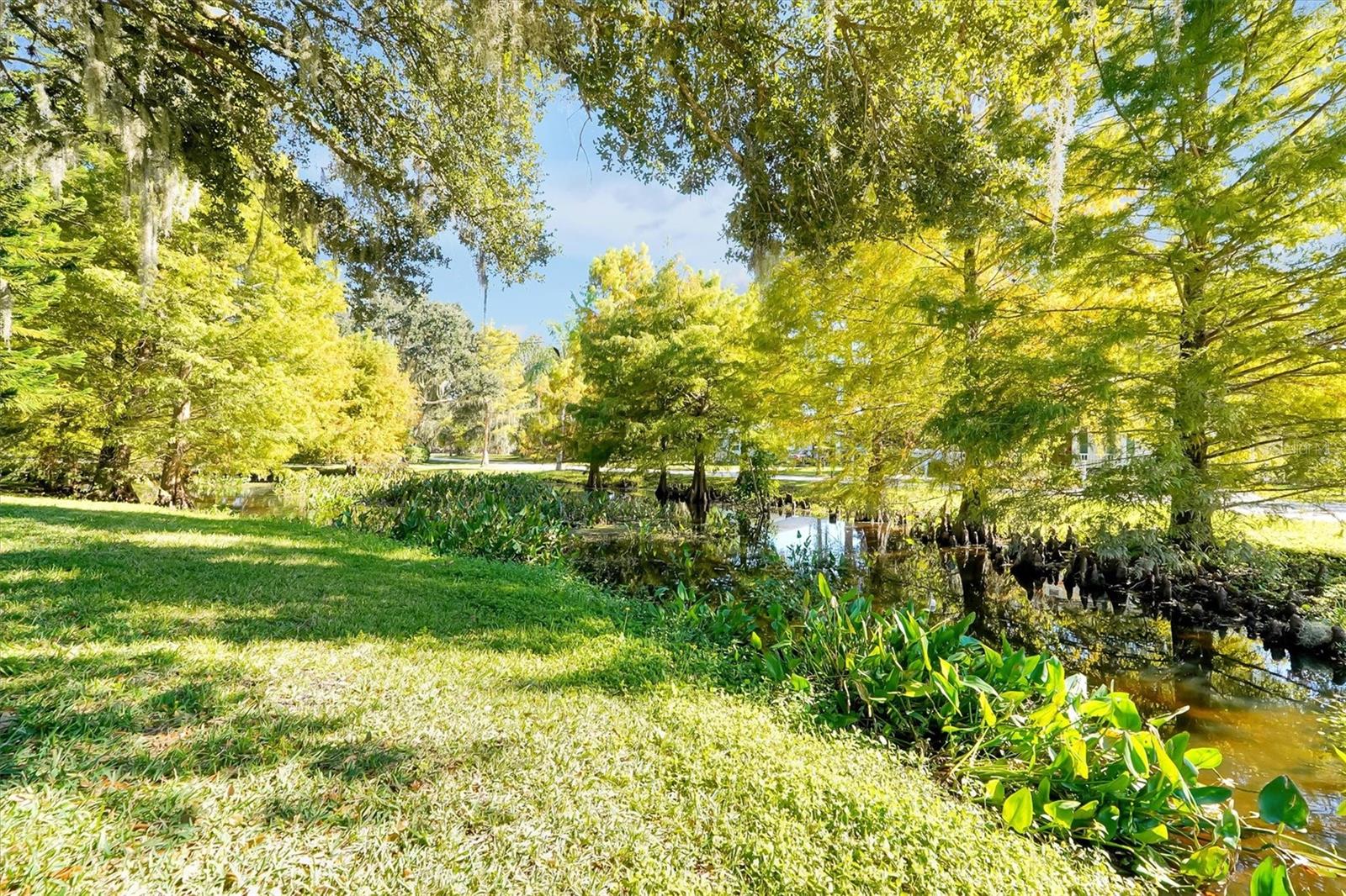 DAVIS SHORES - Residential