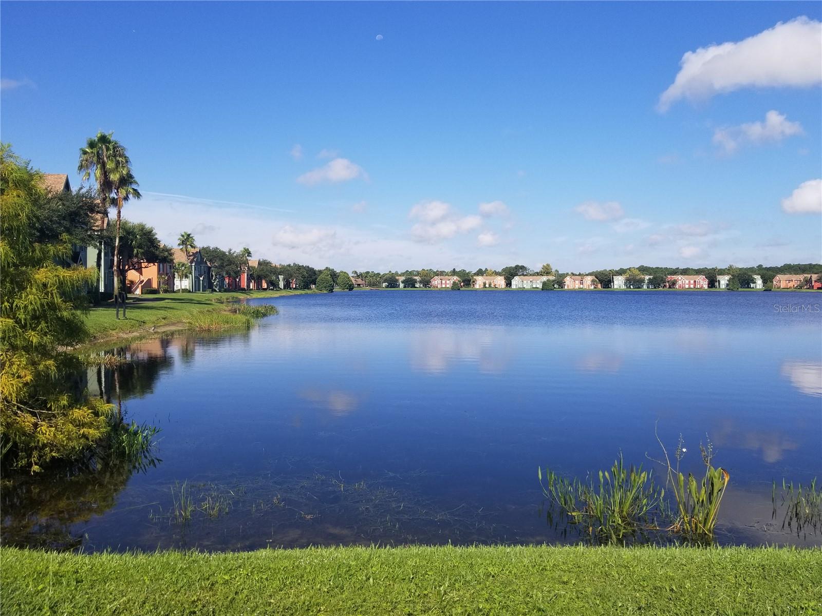LAKE CHASE CONDO - Residential Lease