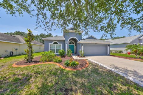 10727 ROCKLEDGE VIEW DRIVE RIVERVIEW FL 33579