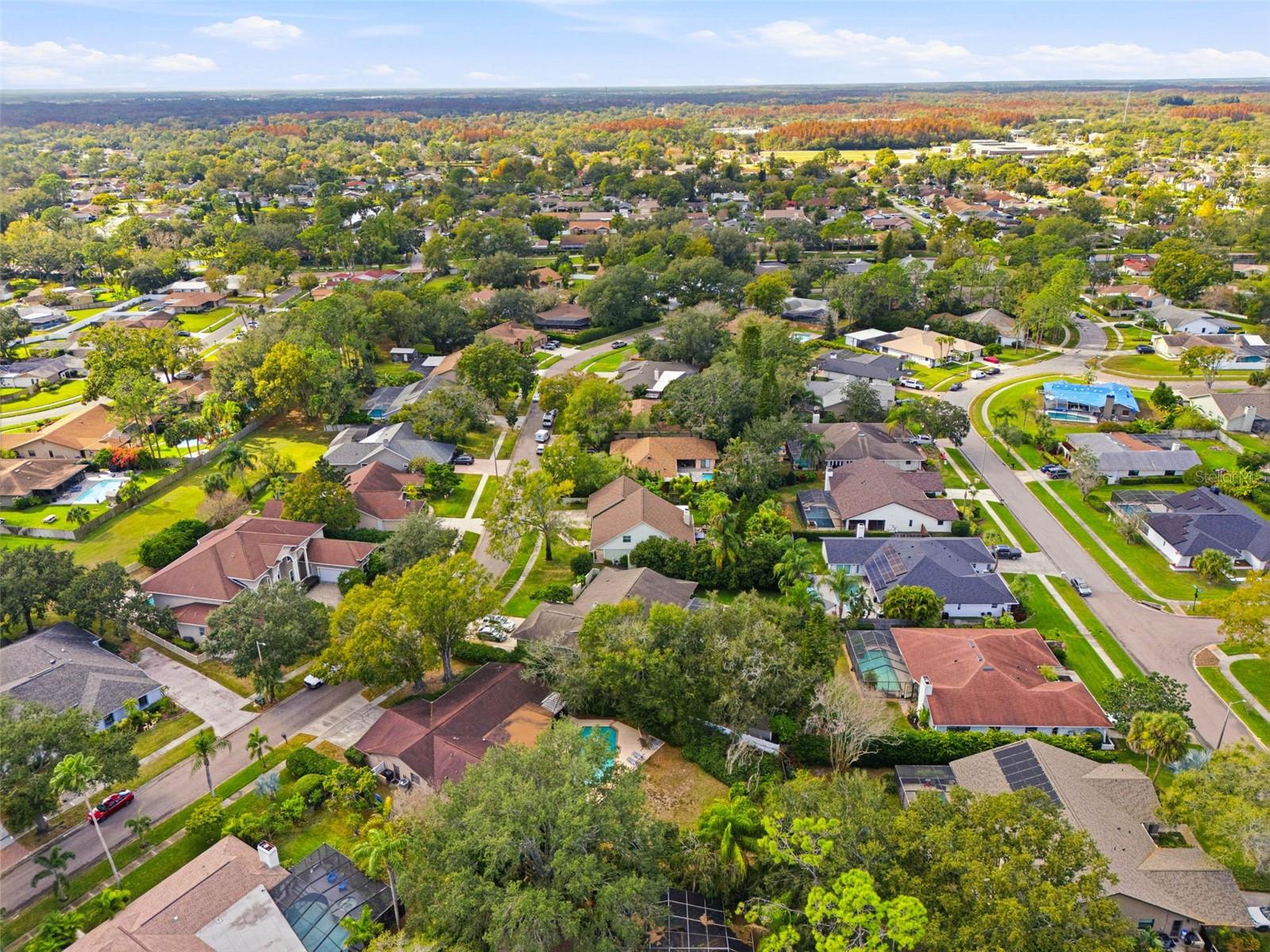 VILLAGE 10 UNIT 01 OF CARROLLWOOD VILLAGE PH - Residential