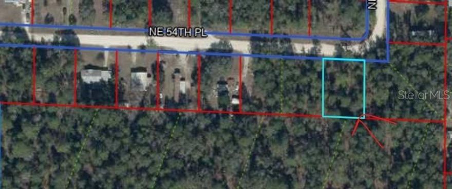 Located in the Country Estates subdivision with no HOA, this 0.32 -acre lightly wooded residential lot offers a peaceful rural setting with nearby homes already established. Ideal for building a site-built home or placing a manufactured home. Well and septic would be required. Conveniently located within driving distance of Williston, Bronson, Gainesville, and Ocala, this property presents a great opportunity for a future homesite or investment. Buyer to verify zoning, utilities, permits, and building requirements with Levy County.