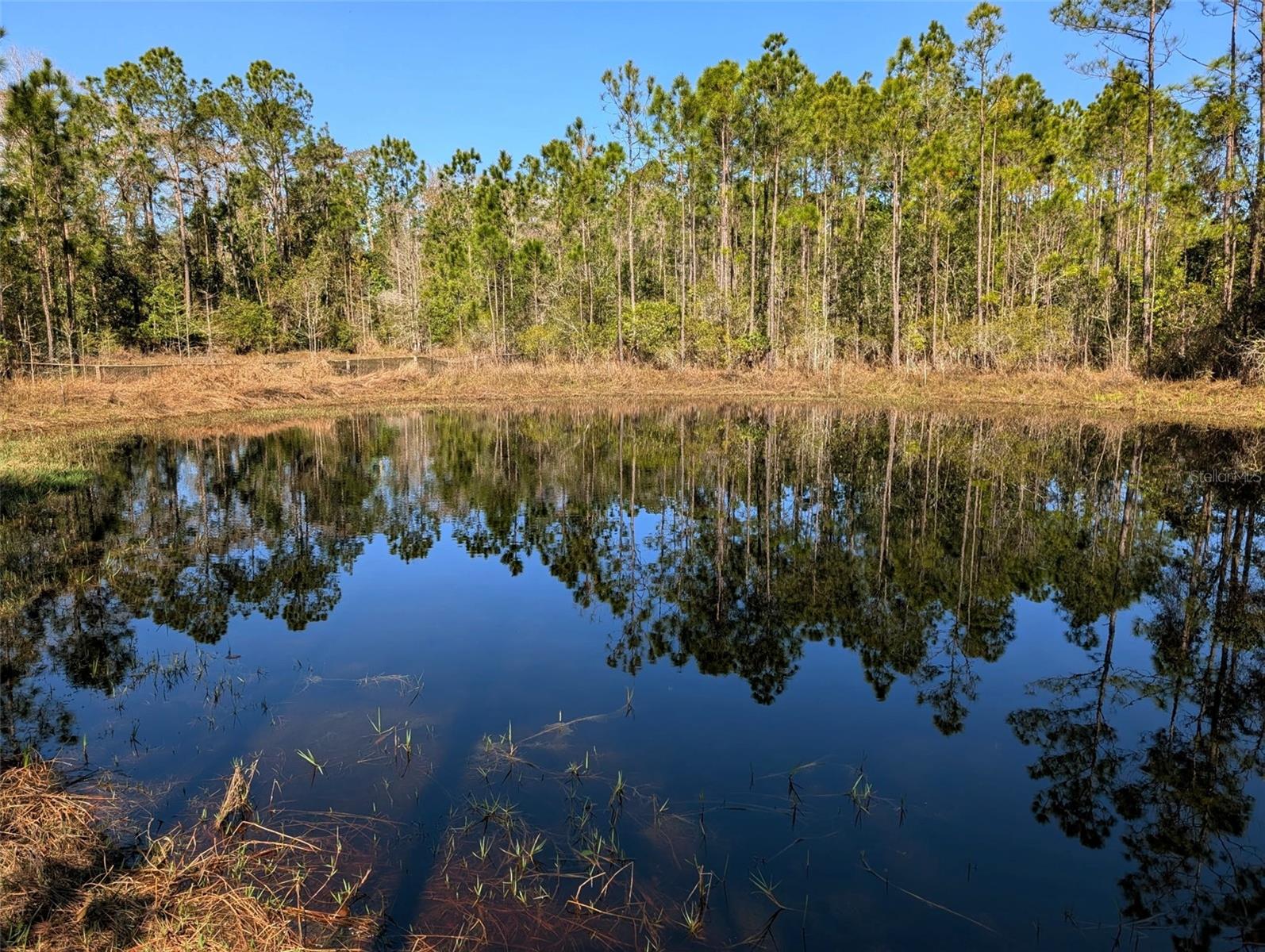 DAYTONA NORTH SUB - Land