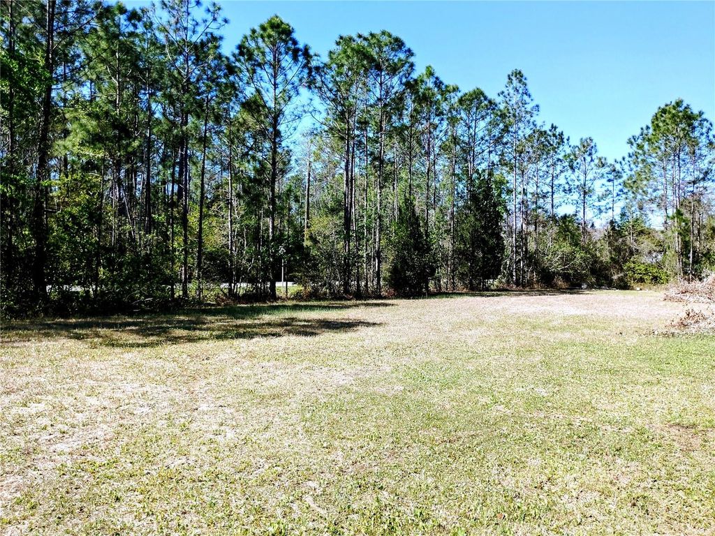 Photo of 4914 Mahogany Boulevard, Bunnell, FL 32110 (MLS # FC317139)