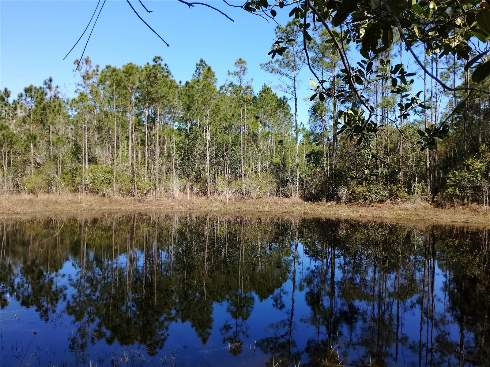 DAYTONA NORTH SUB - Land