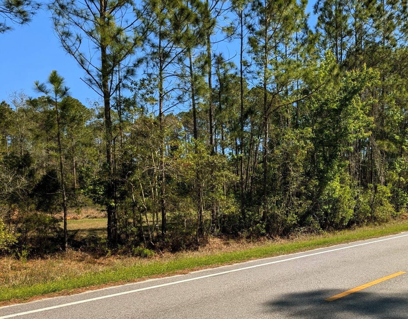 DAYTONA NORTH SUB - Land