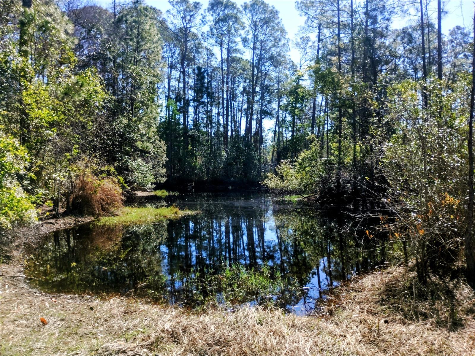 DAYTONA NORTH SUB - Land