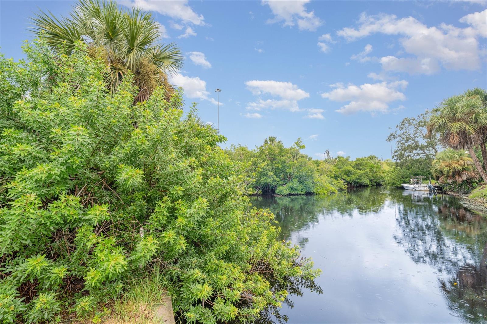WYCHEWOOD SHORES - Land