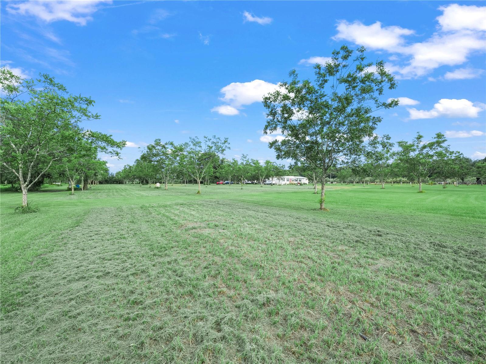 CAREY GROVE - Residential